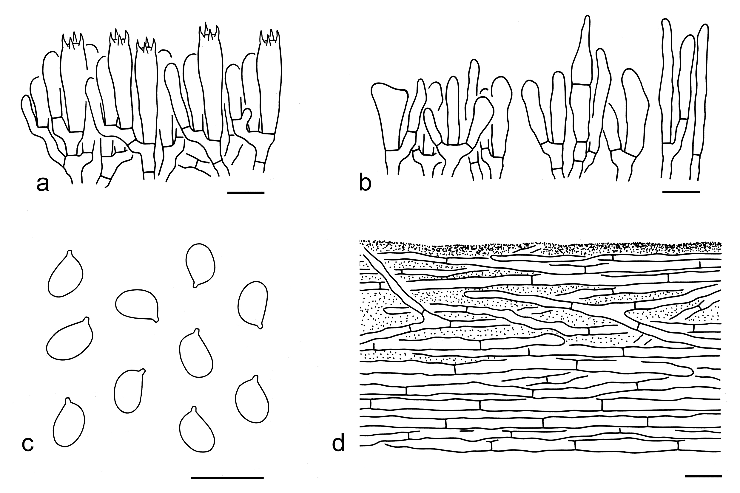 Figure 57
